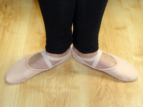 Ballet shoes for Ballet Fit classes.